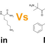 ipamorelin vs mk-677 MK-677: Which GH Secretagogue Wins? MK 677 vs Ipamorelin: Which